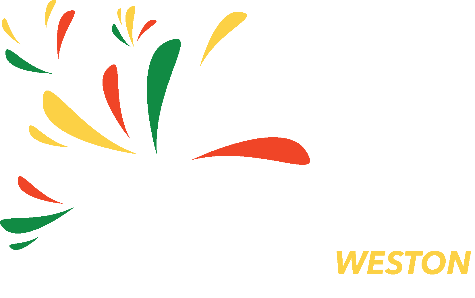 AfriFest Weston